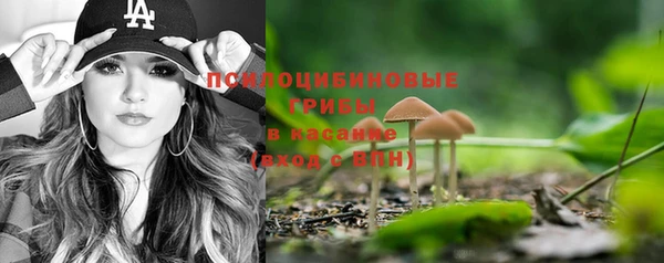 не бодяженный Гусь-Хрустальный