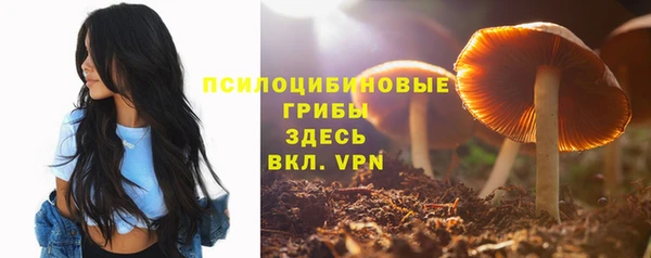 спайс Гусиноозёрск