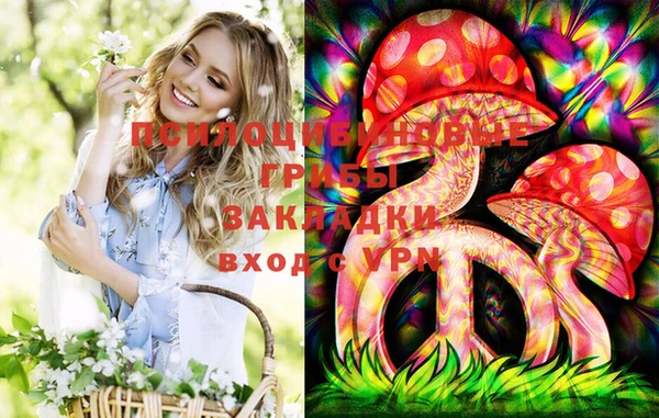 ешки Горно-Алтайск