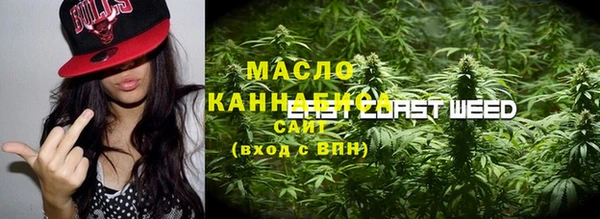 альфа пвп Гусев