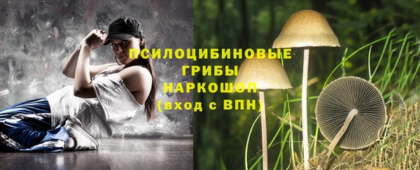 мяу мяу мука Горнозаводск