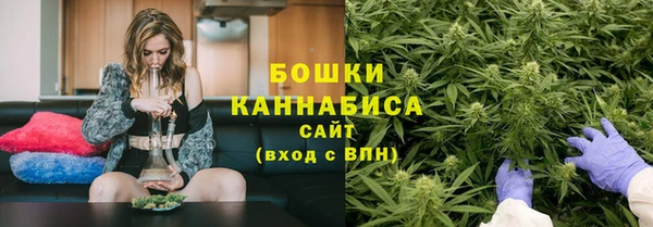 альфа пвп Гусев