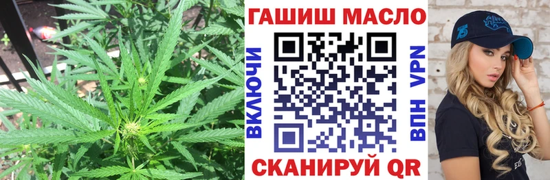 ТГК концентрат  Купить закладки  Калач-на-Дону 