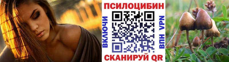 Купить закладки  Калач-на-Дону  Галлюциногенные грибы Magic Shrooms 